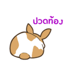 ラブラブウサギ : 大好き タイ語（個別スタンプ：10）