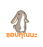 ラブラブウサギ : 大好き タイ語（個別スタンプ：34）