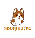 ラブラブ犬 : 大好き タイ語（個別スタンプ：33）