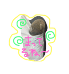 くまちんの日常2（個別スタンプ：8）