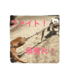 レオ＆弁慶⭐️我来也のスタンプ第2弾（個別スタンプ：1）