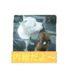 レオ＆弁慶⭐️我来也のスタンプ第2弾（個別スタンプ：10）