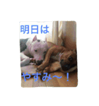 レオ＆弁慶⭐️我来也のスタンプ第2弾（個別スタンプ：14）