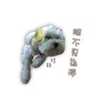 Blankly lovely dog B_BOW（個別スタンプ：22）
