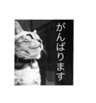 らくの日常（個別スタンプ：8）