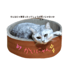 かいくんのいつも（個別スタンプ：2）
