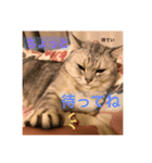 かいくんのいつも（個別スタンプ：4）