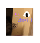 かいくんのいつも（個別スタンプ：5）