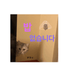 かいくんのいつも（個別スタンプ：6）