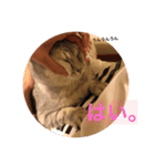 かいくんのいつも（個別スタンプ：8）