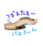 イタチとトカゲ（個別スタンプ：6）