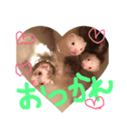 イタチとトカゲ（個別スタンプ：7）