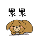 BearDog Musician（個別スタンプ：8）