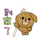 BearDog Musician（個別スタンプ：19）