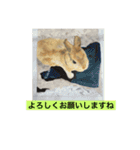 まろんのあいさつ（個別スタンプ：18）