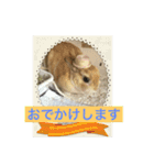 まろんのあいさつ（個別スタンプ：20）