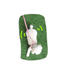 dobby dobby（個別スタンプ：3）