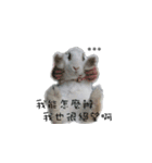 My magic rabbit（個別スタンプ：1）