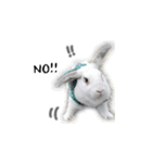 My magic rabbit（個別スタンプ：10）