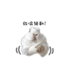 My magic rabbit（個別スタンプ：14）