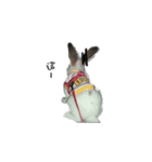 My magic rabbit（個別スタンプ：18）