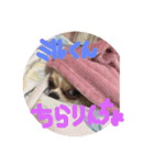 ラブミルくん（個別スタンプ：1）