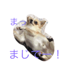 ラブミルくん（個別スタンプ：3）
