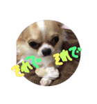 ラブミルくん（個別スタンプ：15）