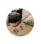 ざぶたろう（個別スタンプ：4）