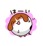 まんまるマーブル（個別スタンプ：1）