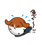 まんまるマーブル（個別スタンプ：11）