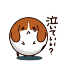 まんまるマーブル（個別スタンプ：25）