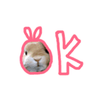 うさぎのムギンプ（個別スタンプ：4）