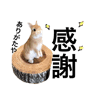 うさぎのムギンプ（個別スタンプ：14）