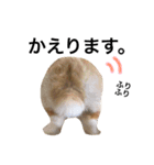 うさぎのムギンプ（個別スタンプ：24）