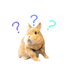 うさぎのムギンプ（個別スタンプ：32）