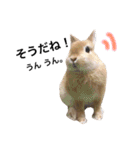 うさぎのムギンプ（個別スタンプ：40）