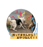 キナコフレンズ（個別スタンプ：7）