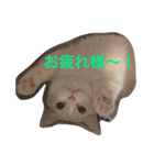 Sticker of Kotaro（個別スタンプ：3）