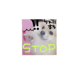 愛犬ず！！2（個別スタンプ：12）