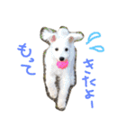 愛犬まろしゅしゅ（個別スタンプ：15）