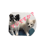 もろとたろう丸（個別スタンプ：5）