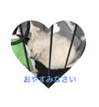 もろとたろう丸（個別スタンプ：6）