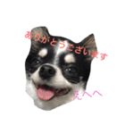 もろとたろう丸（個別スタンプ：14）