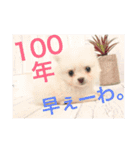 もろとたろう丸（個別スタンプ：18）