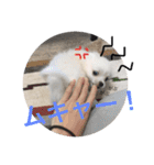 もろとたろう丸（個別スタンプ：19）