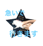 もろとたろう丸（個別スタンプ：24）