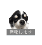 もろとたろう丸（個別スタンプ：31）