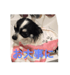 もろとたろう丸（個別スタンプ：32）