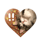 mochi1（個別スタンプ：6）